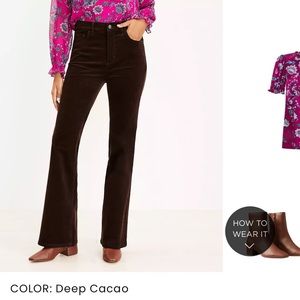 Ann Taylor LOFT - brown curdoroy pants size 18 (34 waist). Brand new with tags.